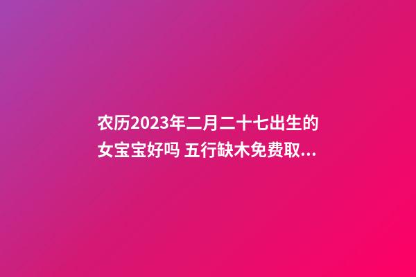农历2023年二月二十七出生的女宝宝好吗 五行缺木免费取好名字